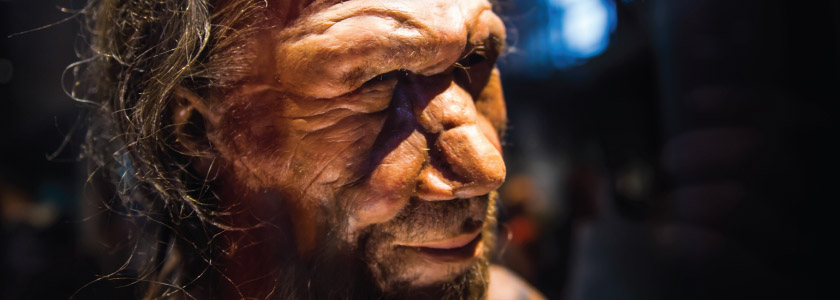 DNA Story: Basques, Neanderthals and Humans hero image