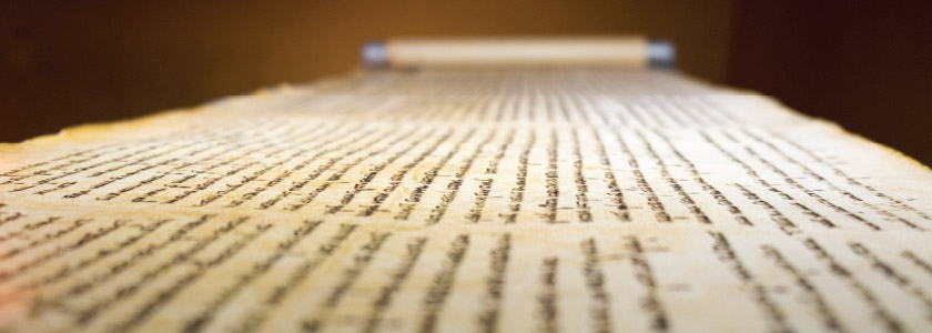 Using DNA fingerprints to explore the Dead Sea Scrolls hero image
