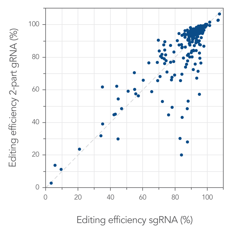 Using 2-part or single guide RNA results in similar editing efficiencies across the genome after transfection with RNP complexes. 
