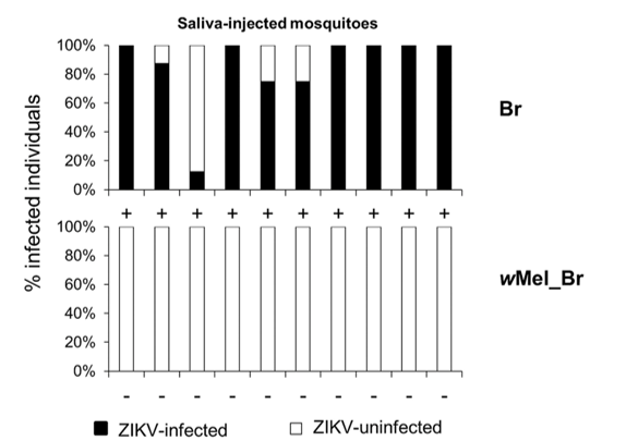 D-PCR16RP-eliminatedengue-F2 art144-YR-qPCR-EliminateDengue-Fig 2