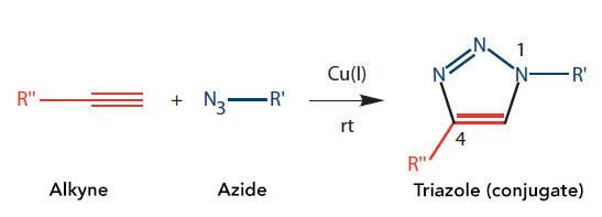 D-OLI17PS-azide-F2 art154-MH-Azide_Fig2