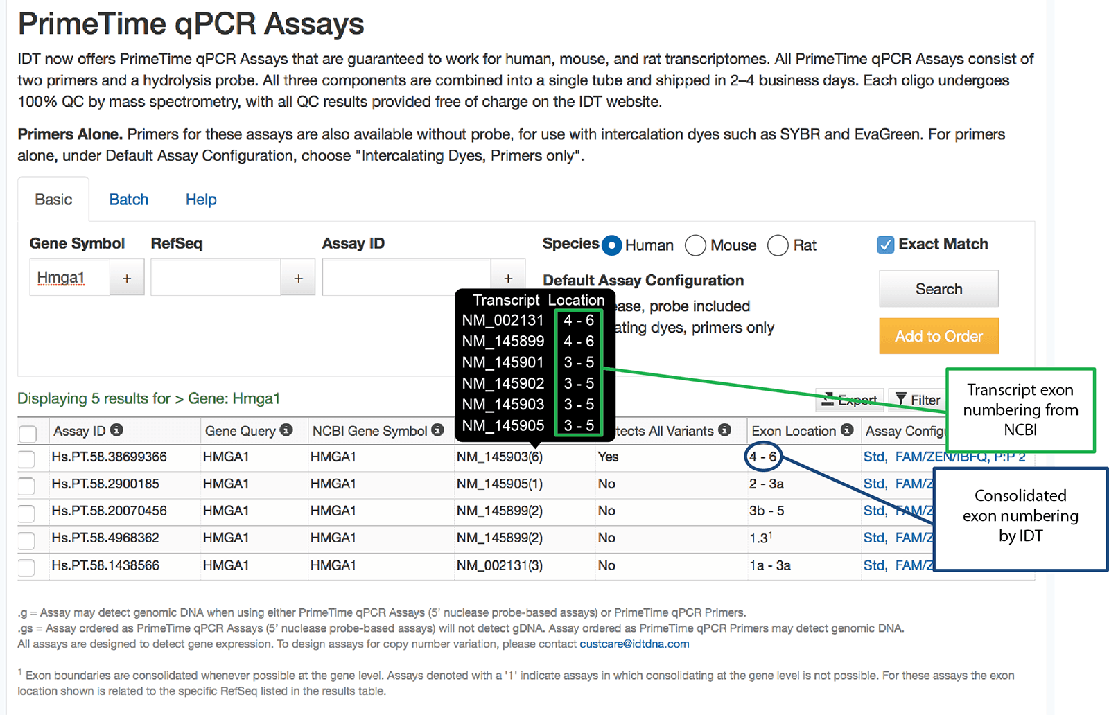 D-PCR13CC-exonnumbering-F2 Art9-CC-Figure 2