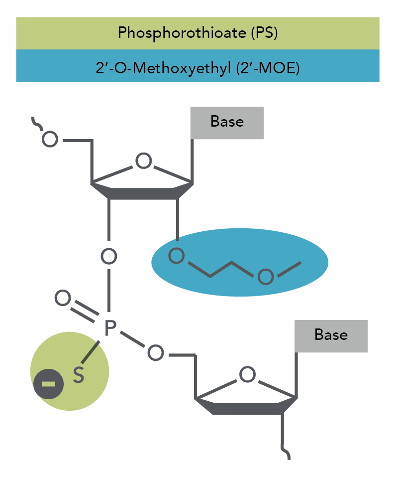 The 2'-MOE modification chemical structure.