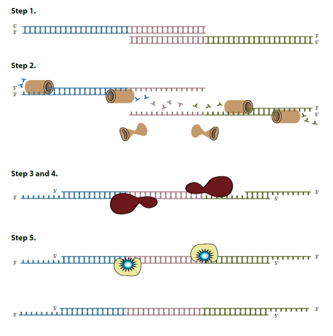 D-SB12CC-isothermalassembly-F1 CC-Isothermal Assembly-Fig1