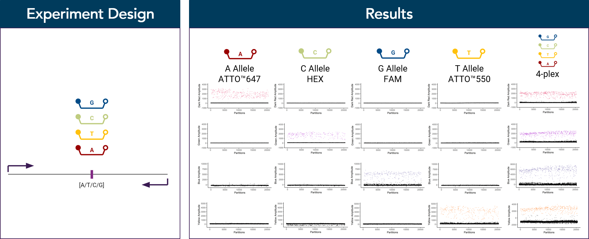 CYPC219_Combinati_V2 Quad-plex genotyping digital PCR results with locked nucleic acids