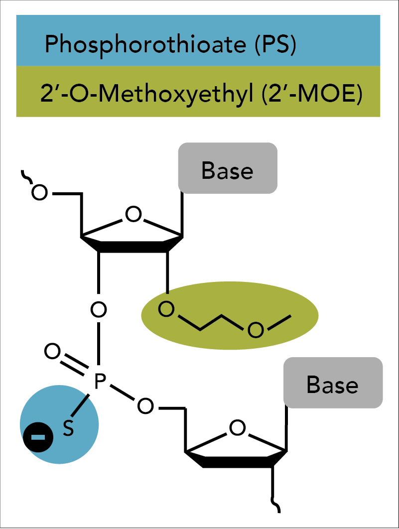 D-OLI18PS-MOE-F1 D-OLI18PS-MOE-Fig1