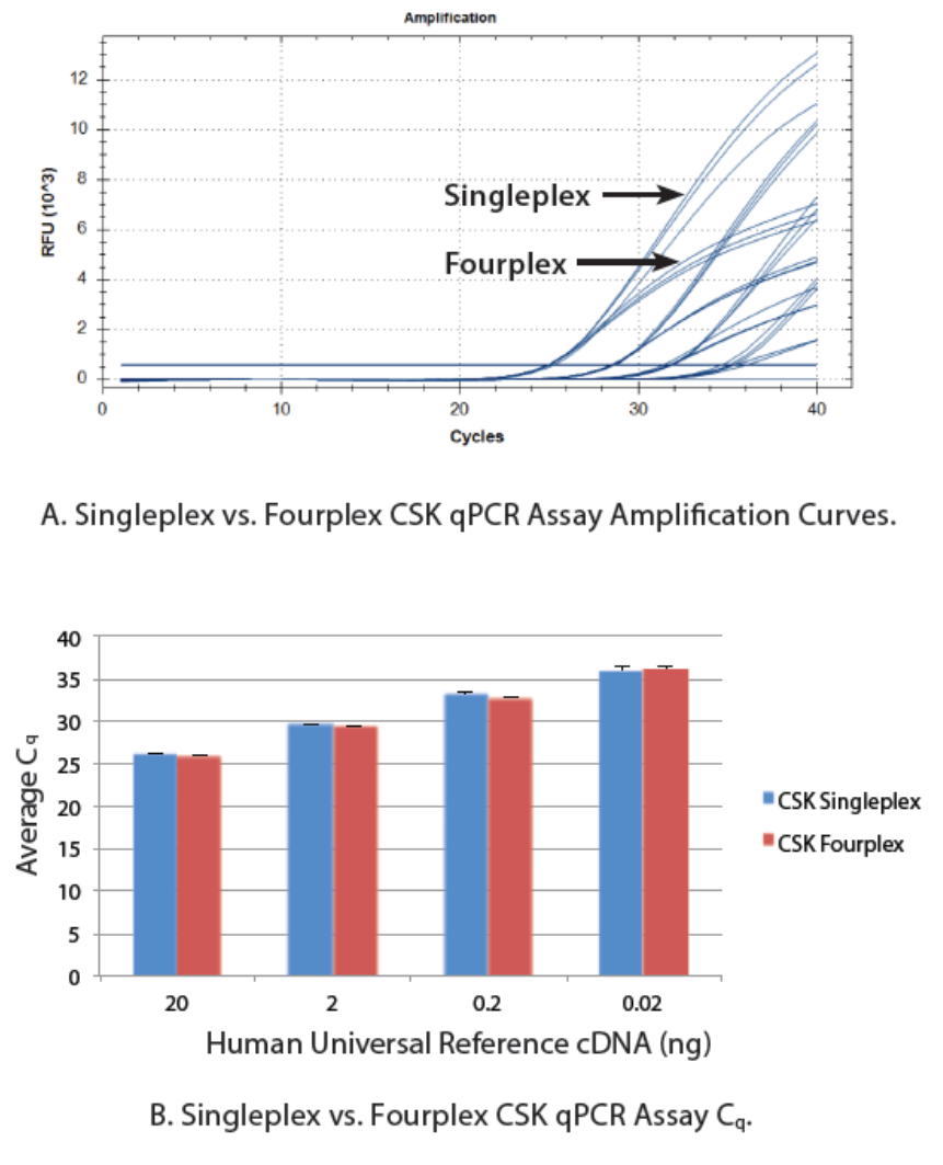 D-PCR16CC-multiplexpcrstarted-F1 D-PCR16CC-multiplexpcrstarted-F1