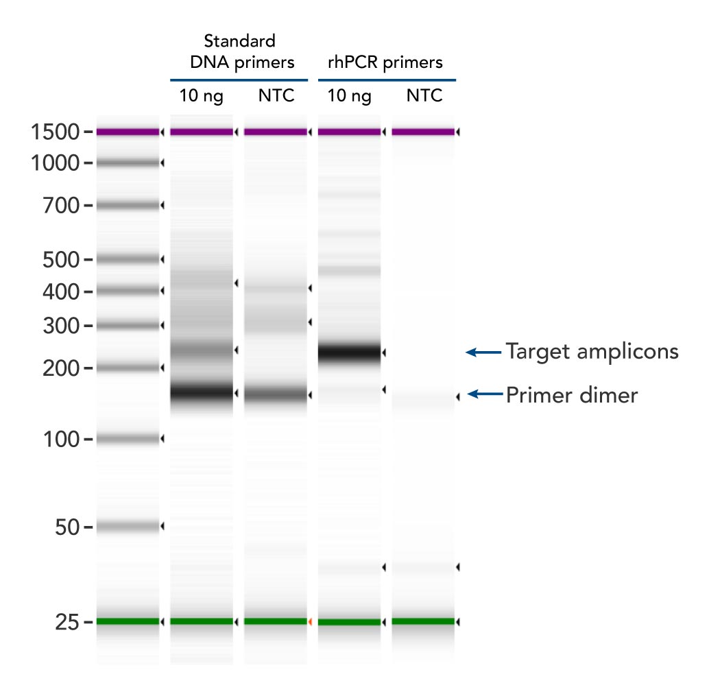 d-pcr17cc-rhampgenotyping-f3 d-pcr17cc-rhampgenotyping-f3
