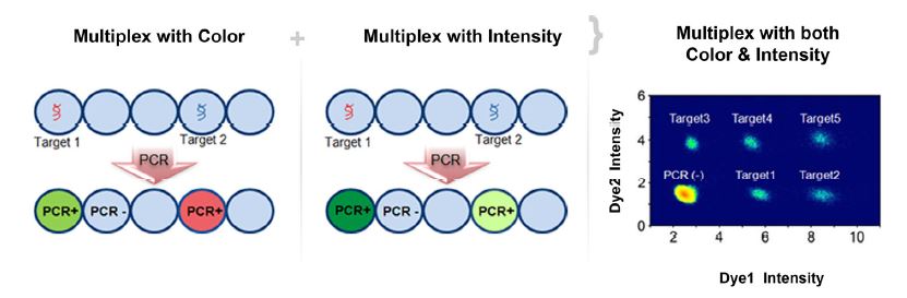 D-PCR13CC-dpcr-F2 D3.4-CC-dPCR Fig2