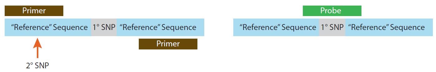 D-NGS14LT-enrichmentfacilitates-F2 D4.1-CC-Target enrichment_Fig 2