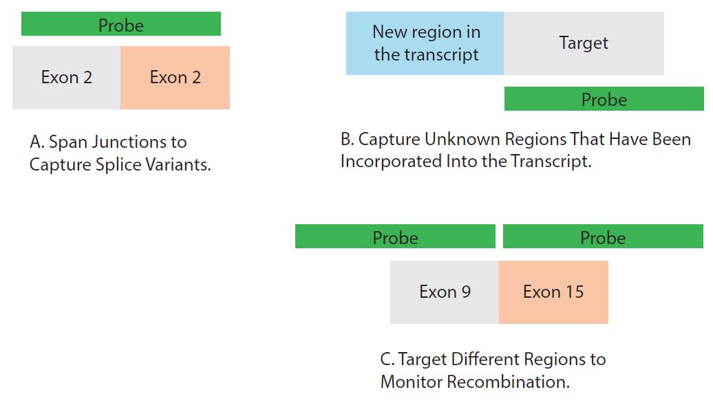 D-NGS14LT-enrichmentfacilitates-F4 D4.1-CC-Target enrichment_Fig 4