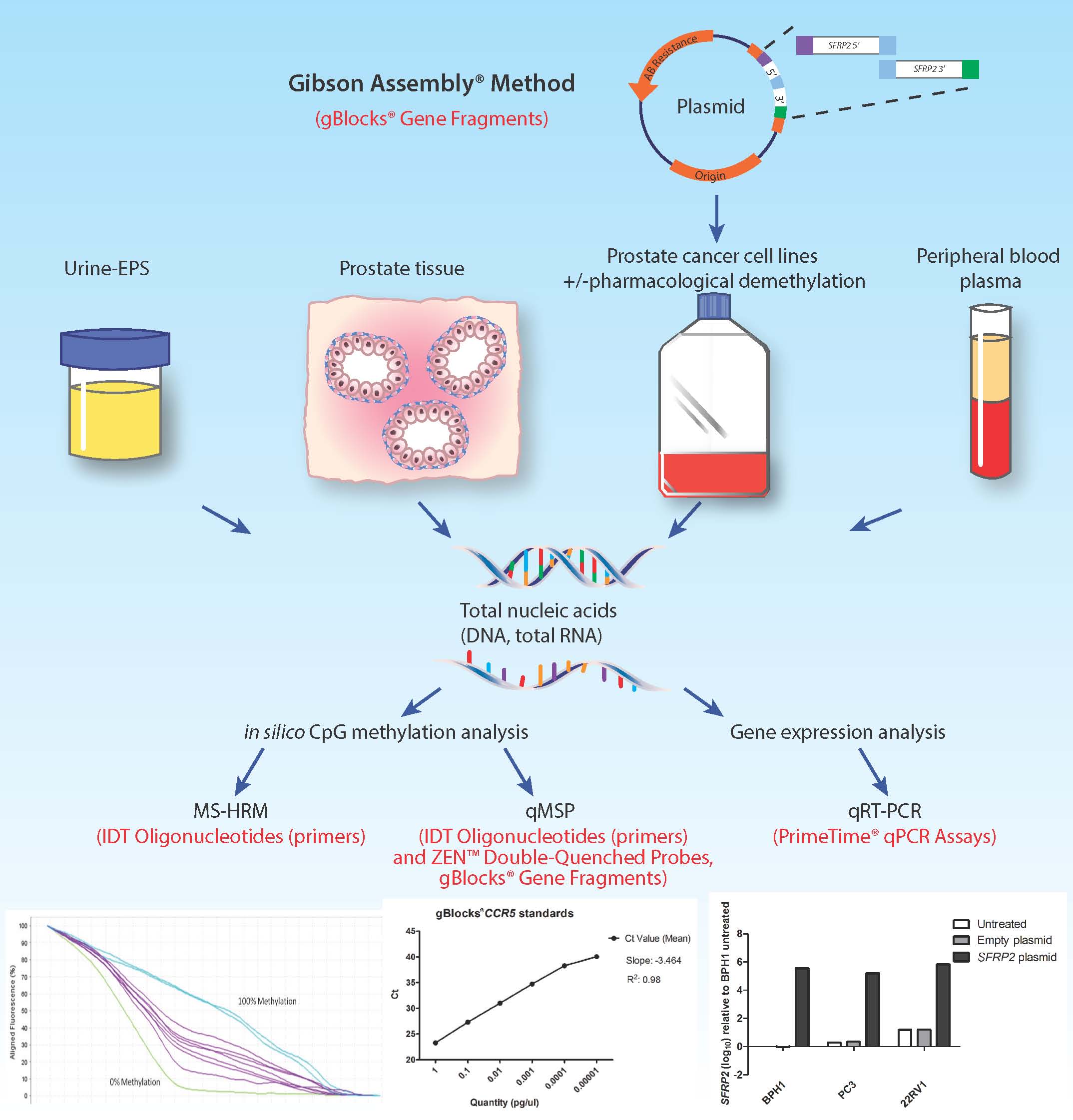 D-PCR14RP-epigeneticbiomarkers-F1 D4.1-YR-Prostate cancer Fig1