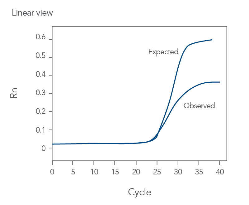 qPCR amplification curves of low height