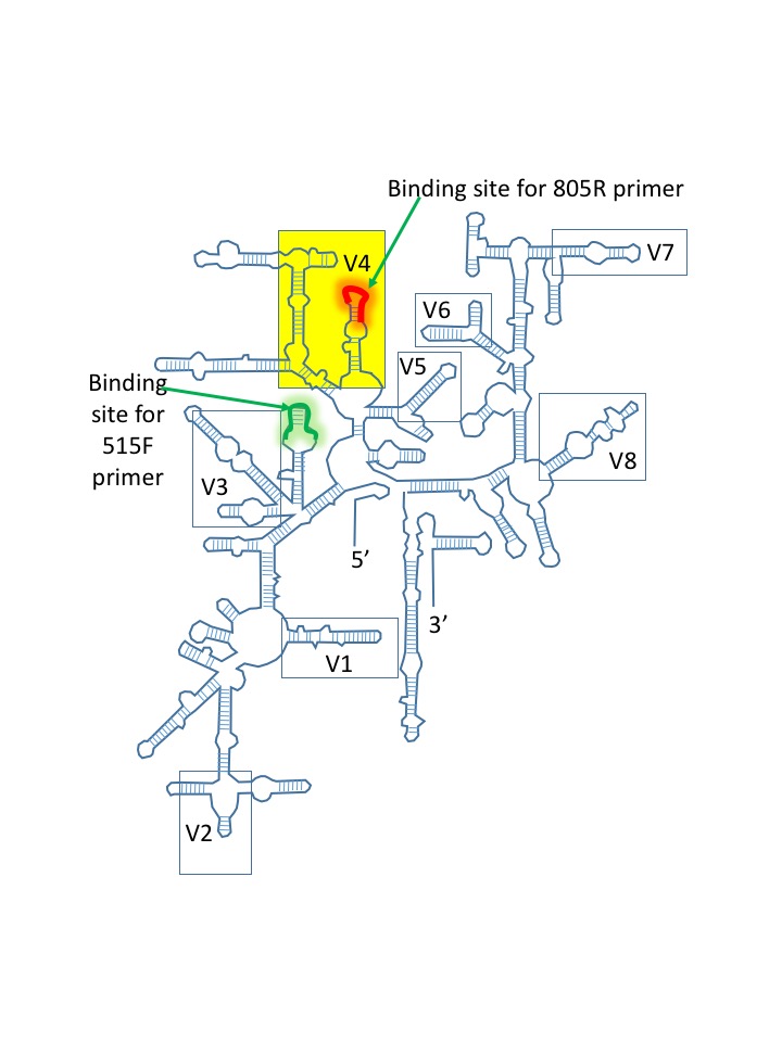 D-PCR16RP-robknight-F2 Figure2_RobKnight