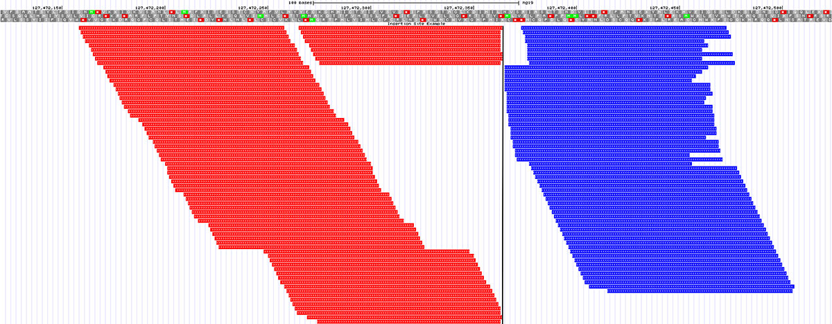D-NGS14RP-cofactor-F2 Insertion site detection with Lockdown Probes