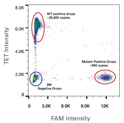 D-PCR13RP-digitalpcrsimplifying-F2 YR dPCR Fig2