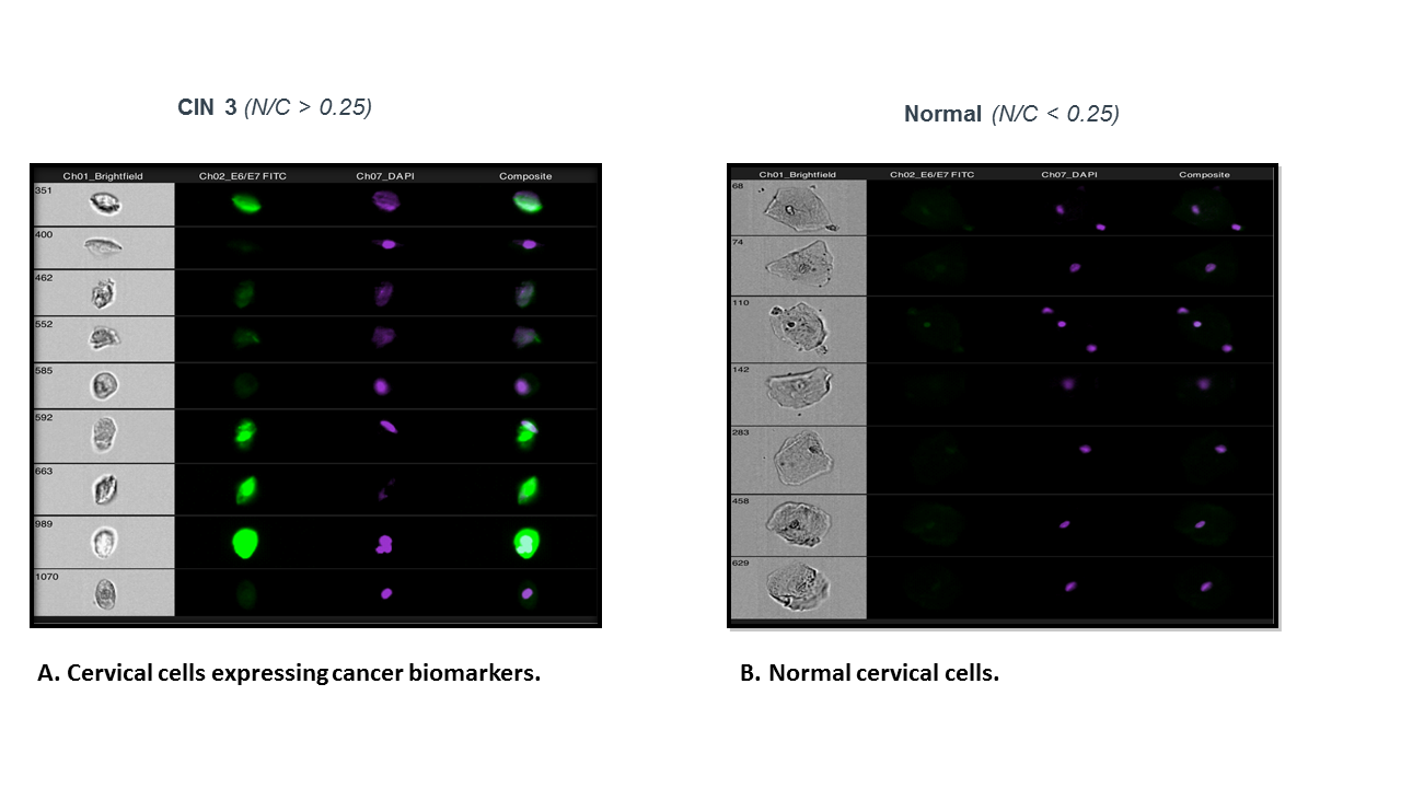 incelldx-fig1 incelldx-fig1