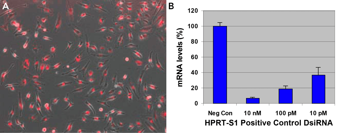 RNA_knockdown_fig1 RNA_knockdown_fig1
