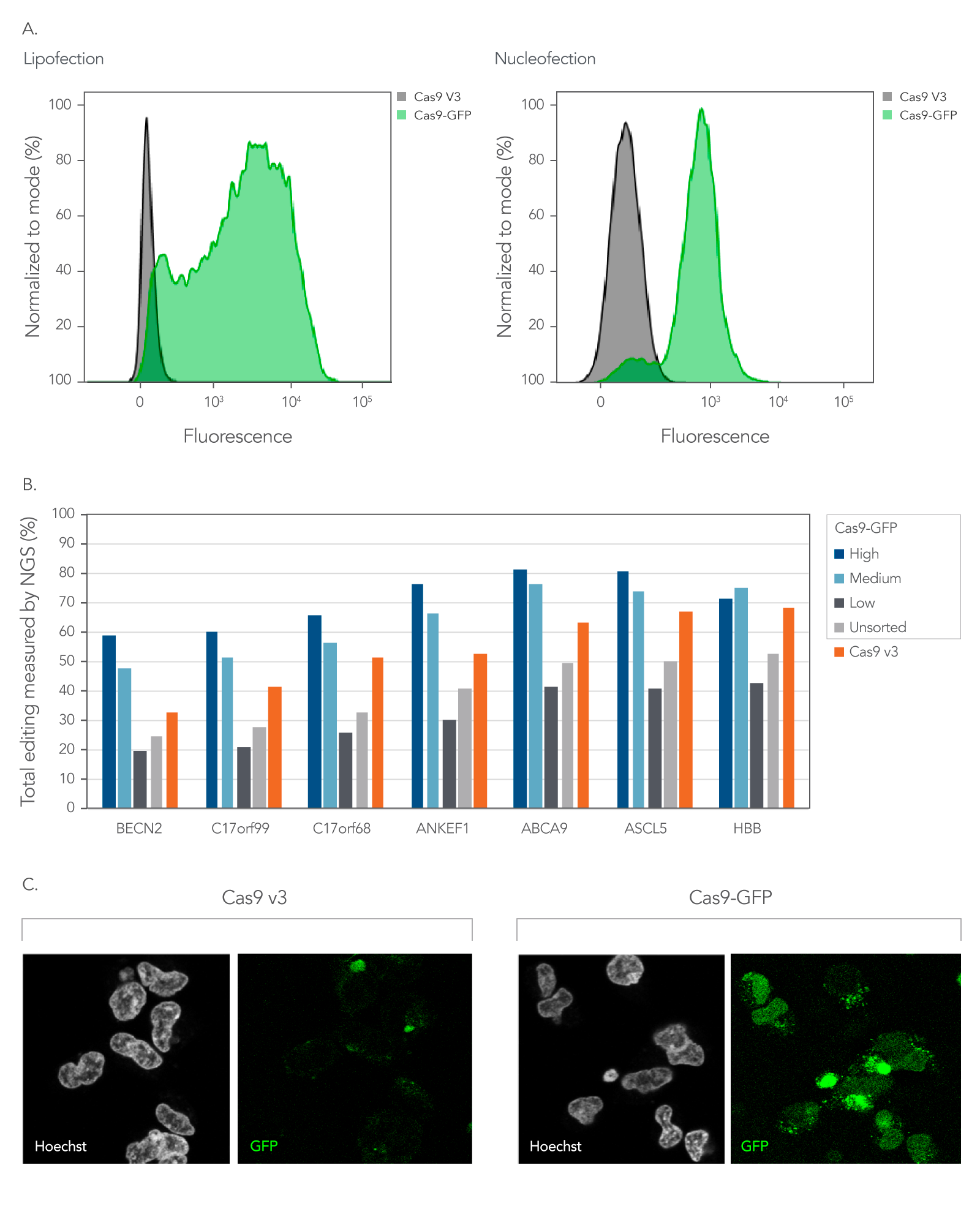 Fluorescent CRISPR proteins can be used to enrich for edited cells by fluorescence activated cell sorting