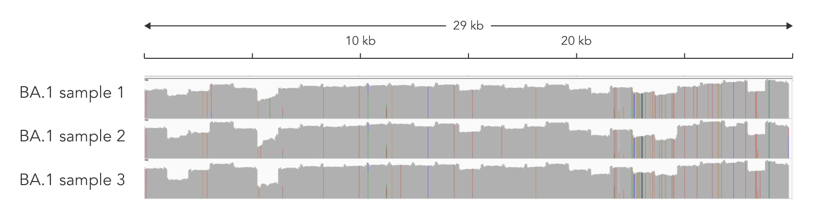 Amplicon sequencing combining the xGen SARS-CoV-2 Midnight Amplicon Panel and the xGen Lotus DNA Library Prep provided >99.5% coverage at >5X of the SARS-CoV-2 genome for Ct values <32.