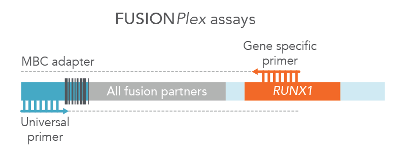 FUSIONPlex assays detect both known and novel fusions.