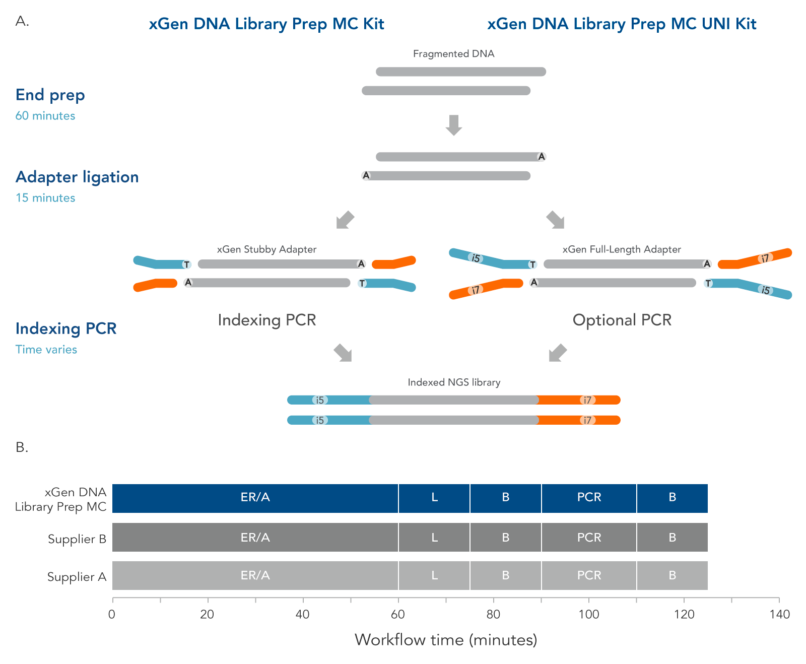 XGen DNA Library Prep Kits For Mechanical Or Enzymatic Fragmentation | IDT