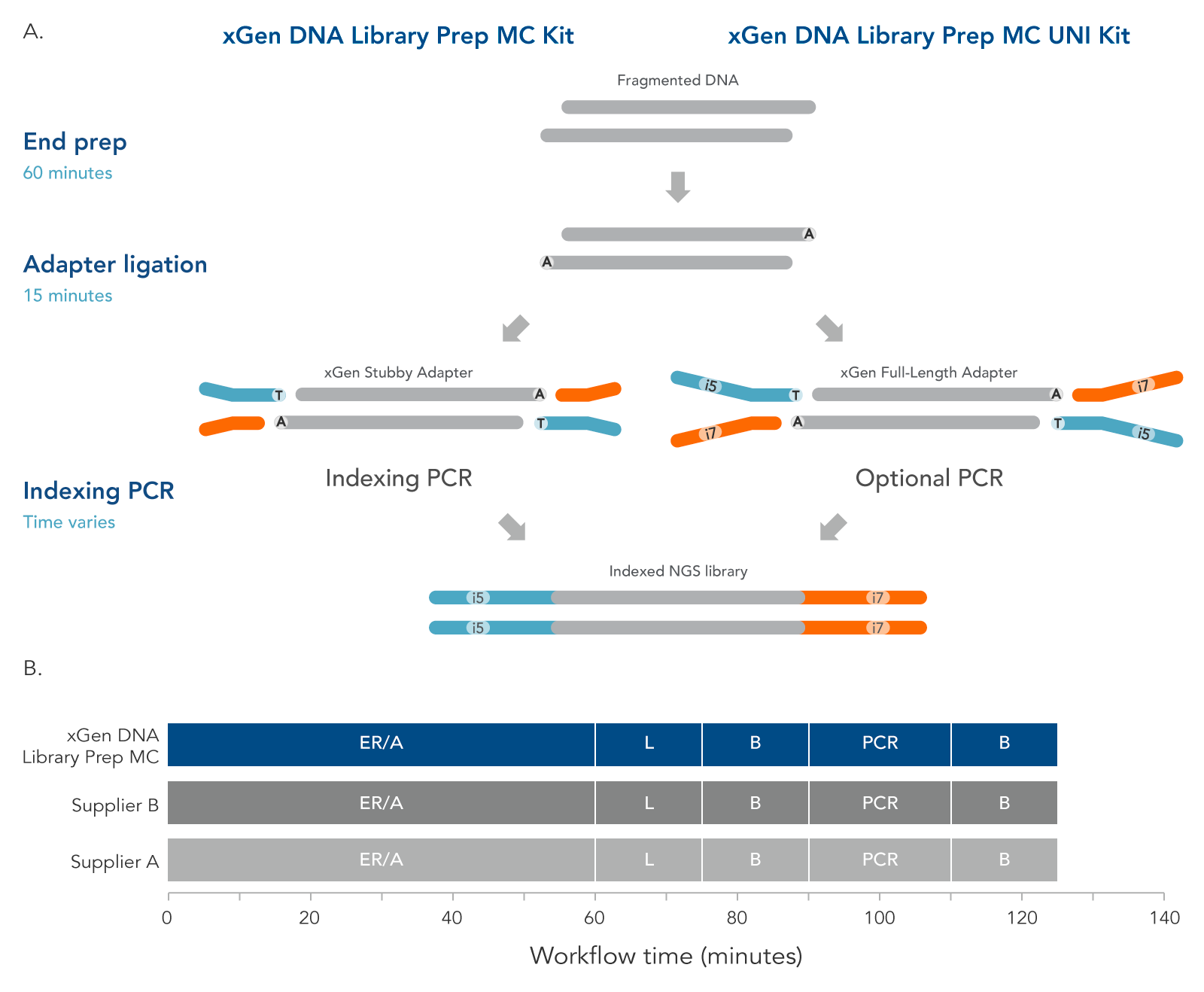 Generate NGS libraries with the xGen DNA Library Prep MC with or without PCR amplification.
