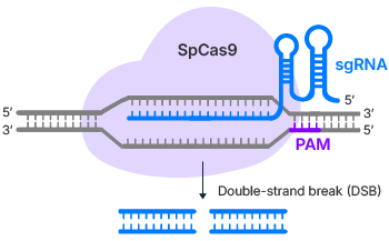 26-GE-Prime-Editing-Product-Page-GR-Cas9