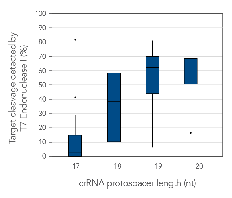 19–20 nt protospacer element provides optimal performance when genome editing with CRISPR-Cas9.