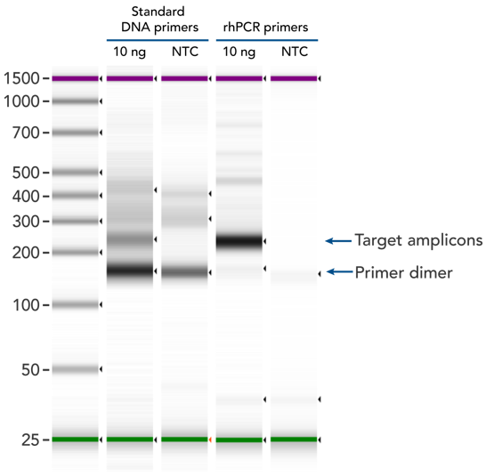rhPCR primers largely reduce primer-dimers and nonspecific amplification artifacts in multiplex applications.