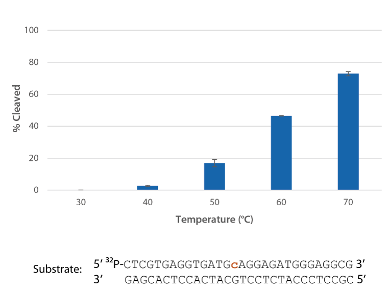 Bar chart showing the amount of cleaved substrate in % on the x axis dependent on the concentration of MgCl2 on the y axis.