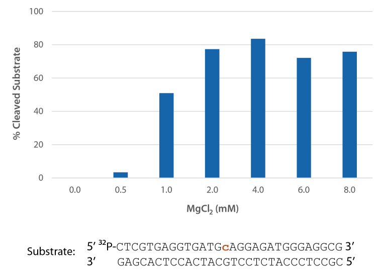 RNase H2 is active over a broad range of Mg2+ concentrations