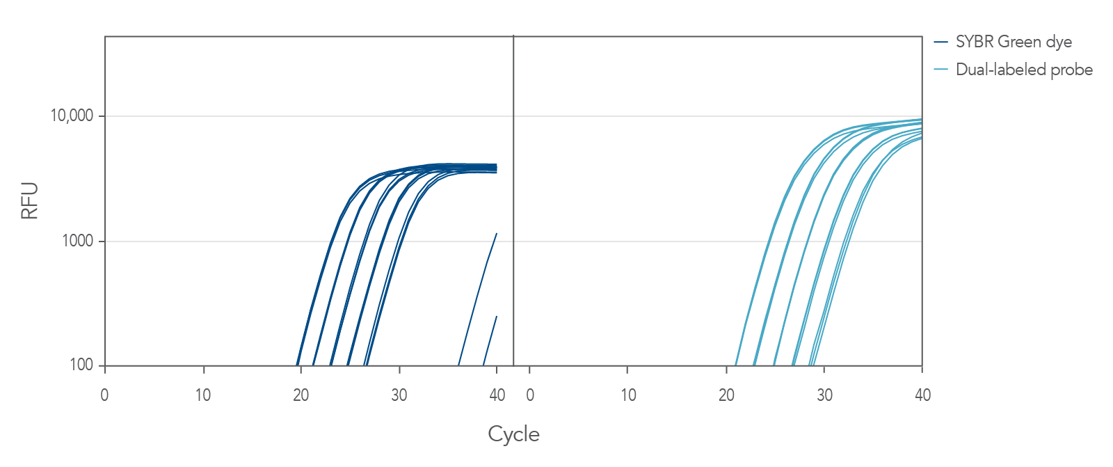 2 Graphs showing amplification plots of SYBR Green dye on the left and dual-labeled cDNA on the right. Delta Rn is seen on the y axis with the number of cycles on the x axis.